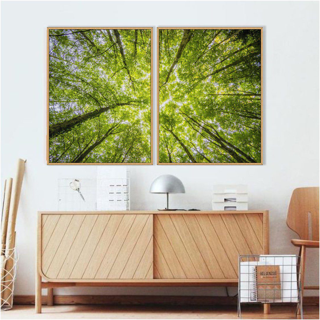 Composição com 2 Quadros com Copa de Árvore