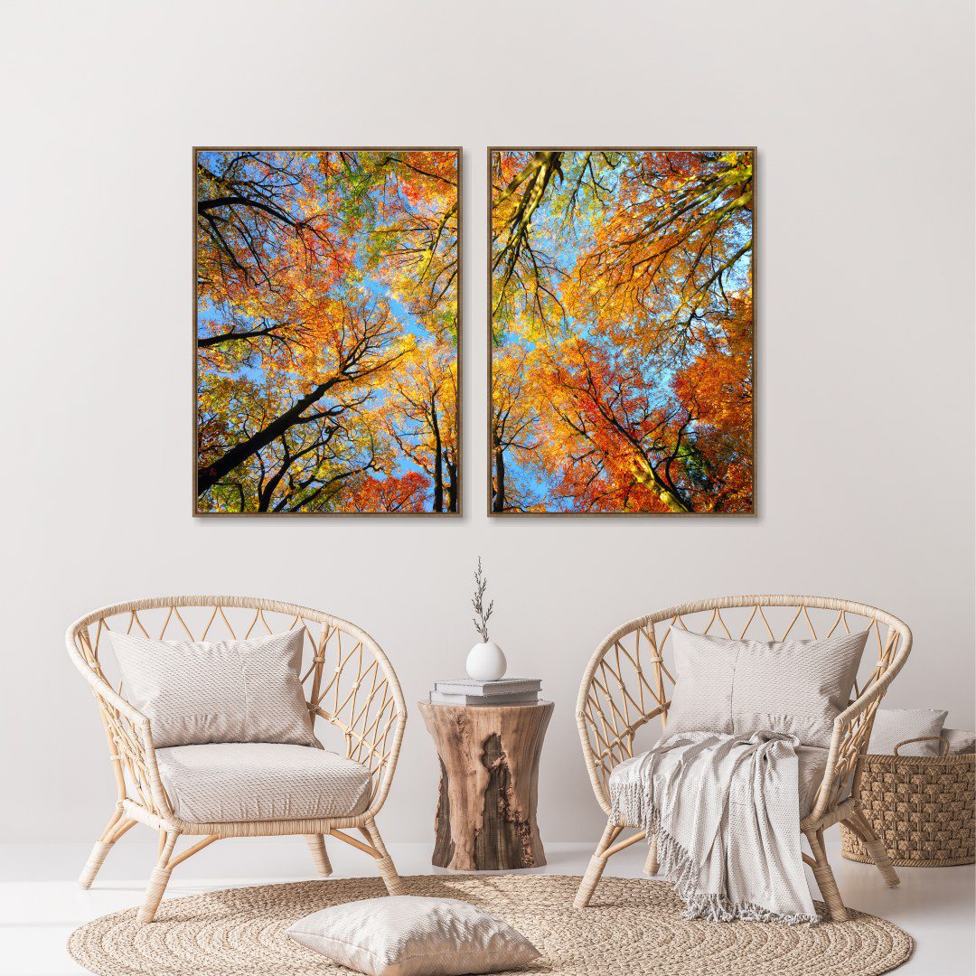 Composição com 2 Quadros com Copa de Árvore