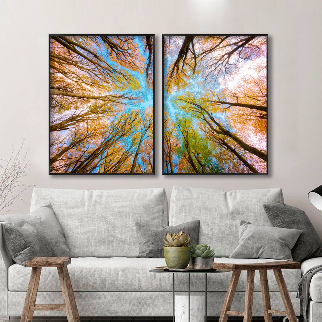 Composição com 2 Quadros com Fotografia Copa de Árvore