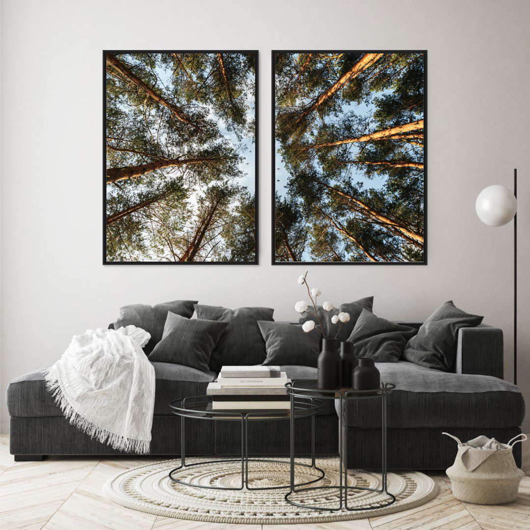 Composição com 2 Quadros com Fotografia de Copa de Árvore