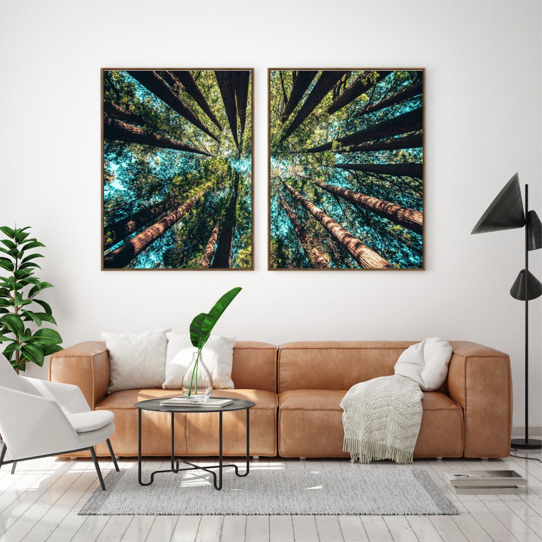 Composição com 2 Quadros Copa de Árvore