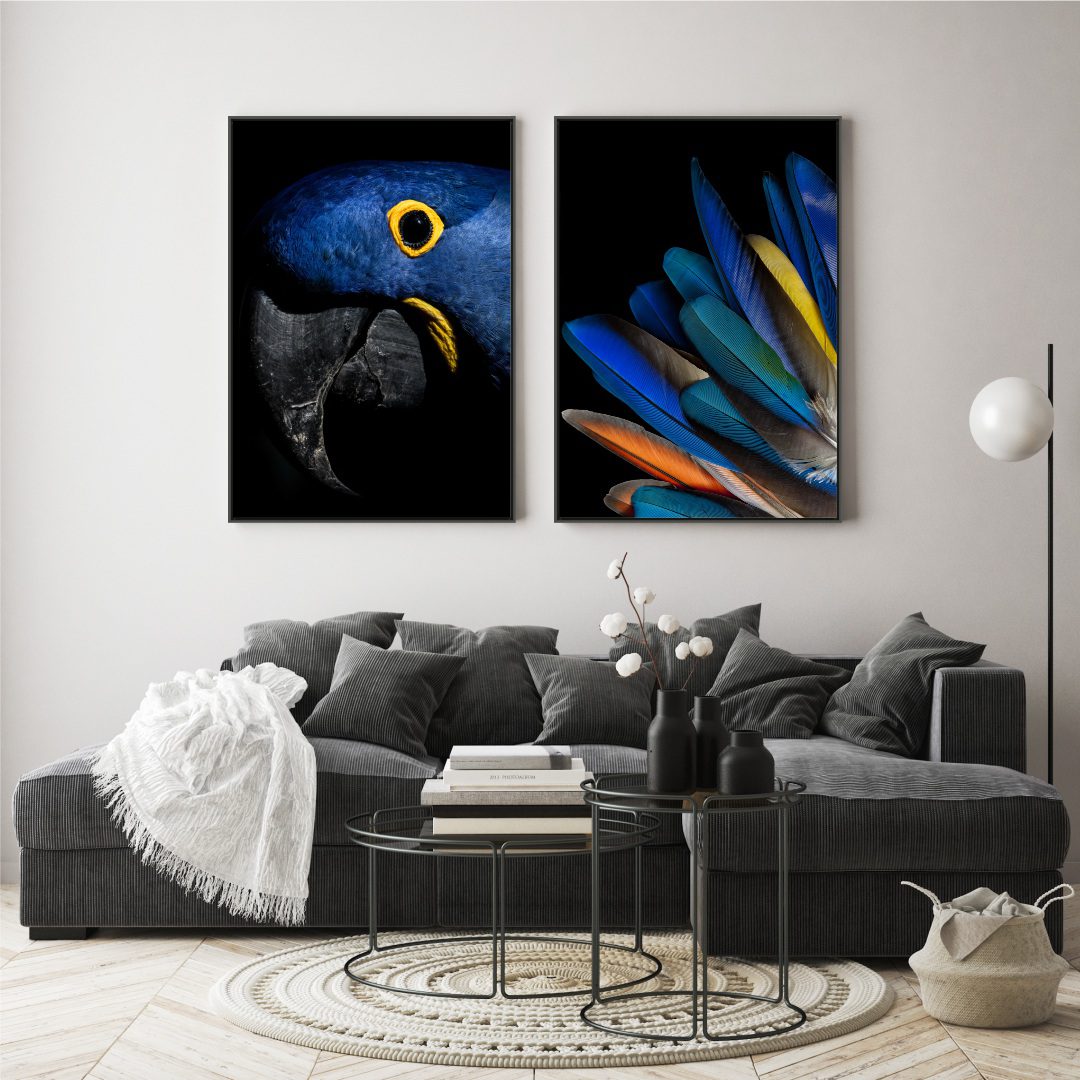 Conjunto com 2 Quadros Arara Azul e Penas de Pássaros