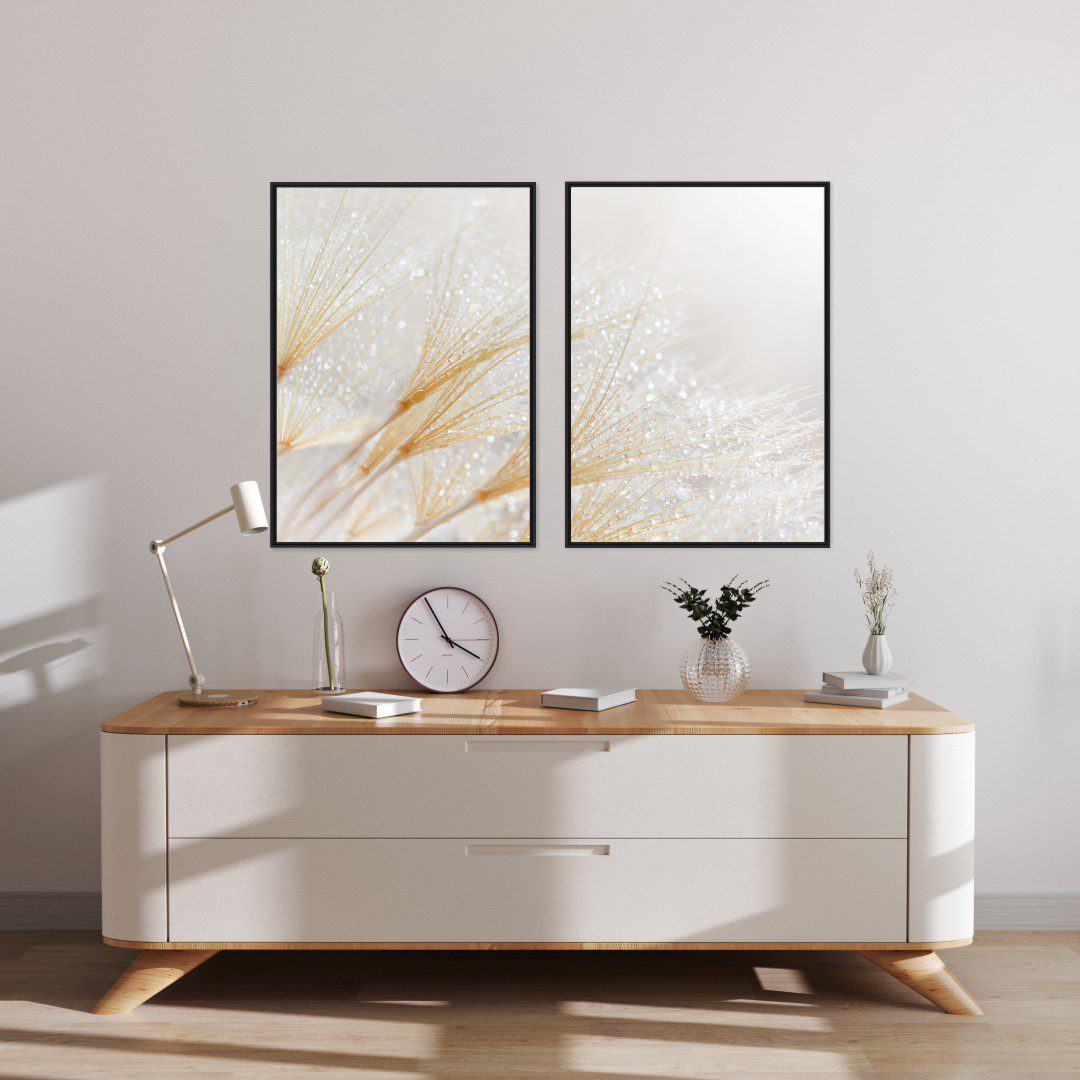 Conjunto com 2 Quadros Dente de Leão Branco com Dourado