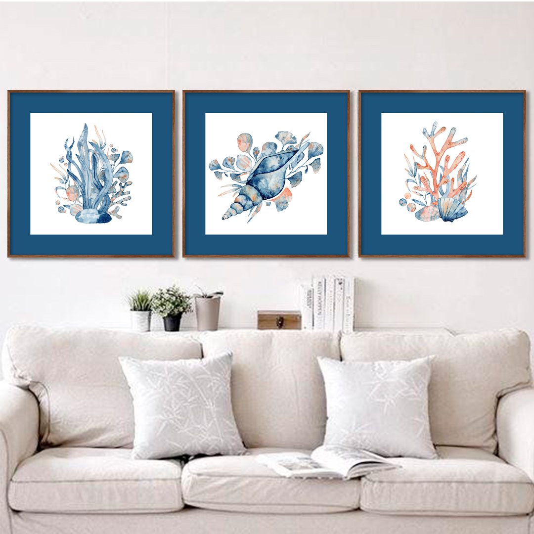 Conjunto com 3 Quadros de Conchas e Corais Marinhos