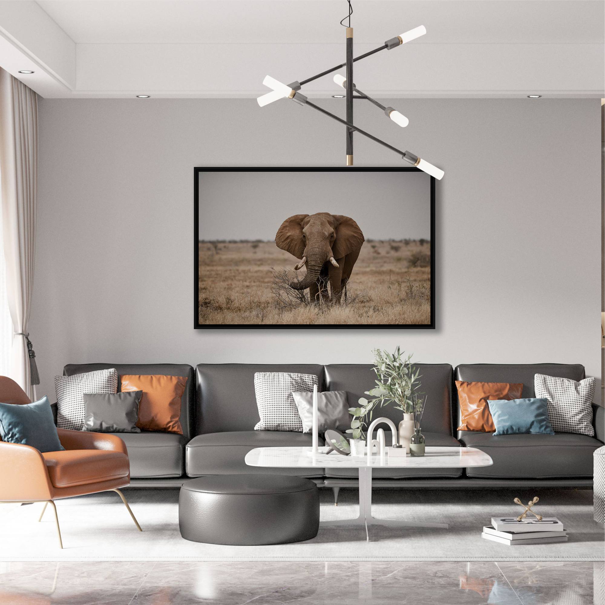 Quadro com Fotografia de Elefante