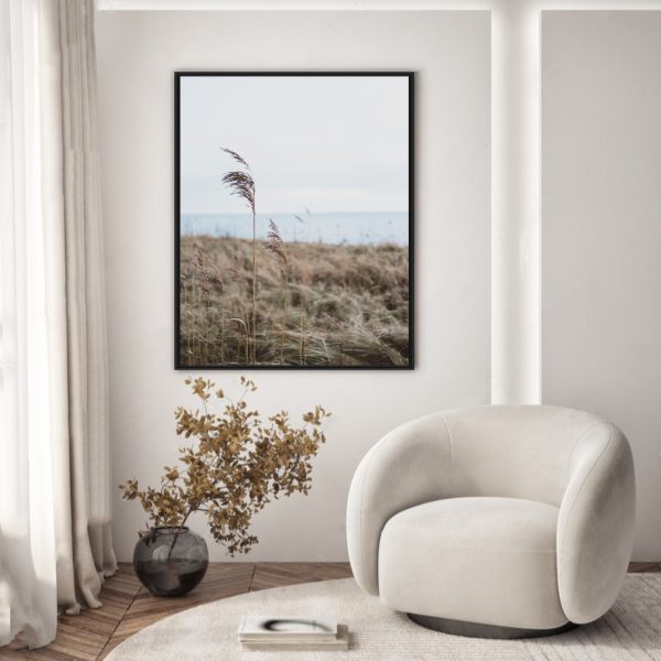 Quadro com paisagem de Plumas