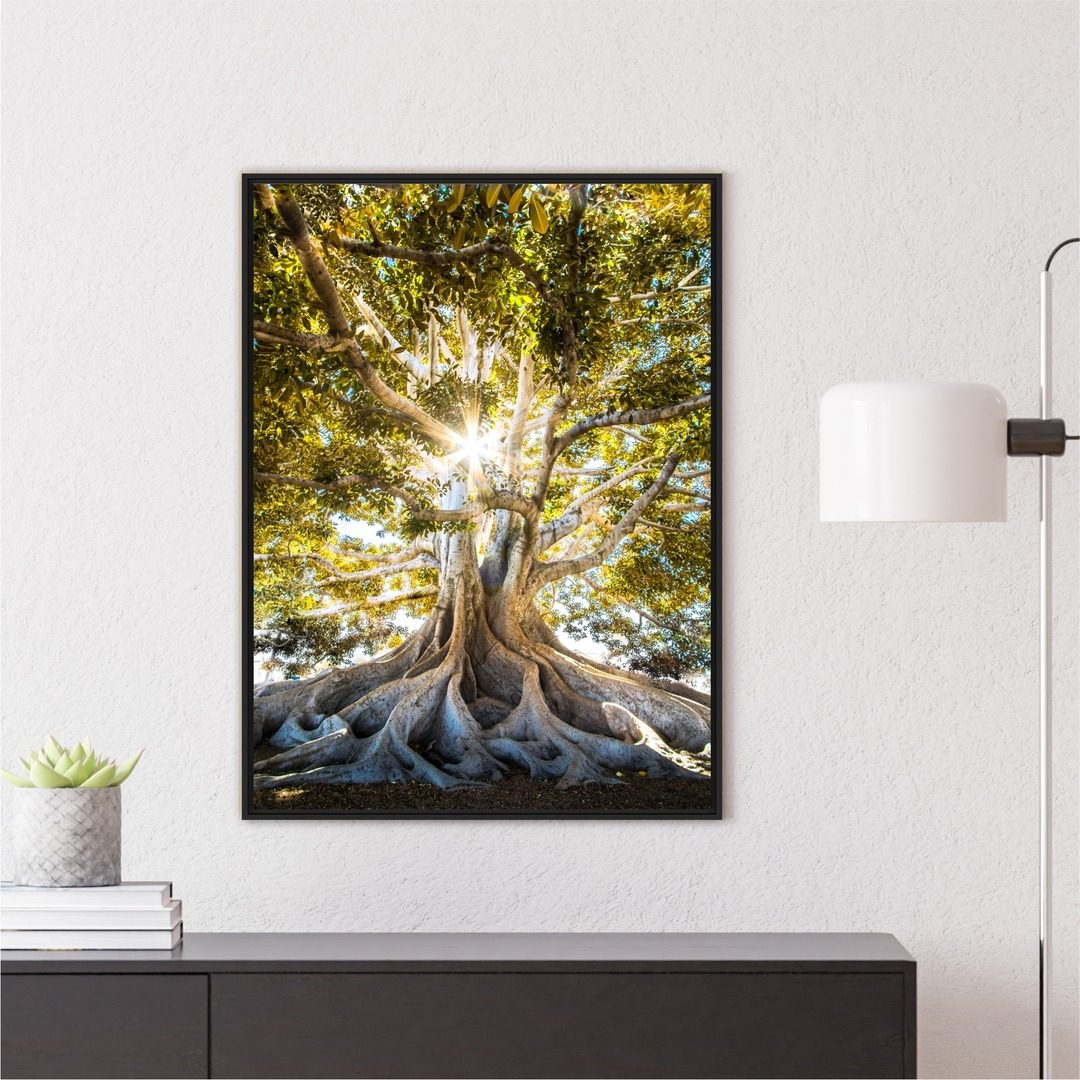 Quadro Árvore da Vida com Raio de Luz