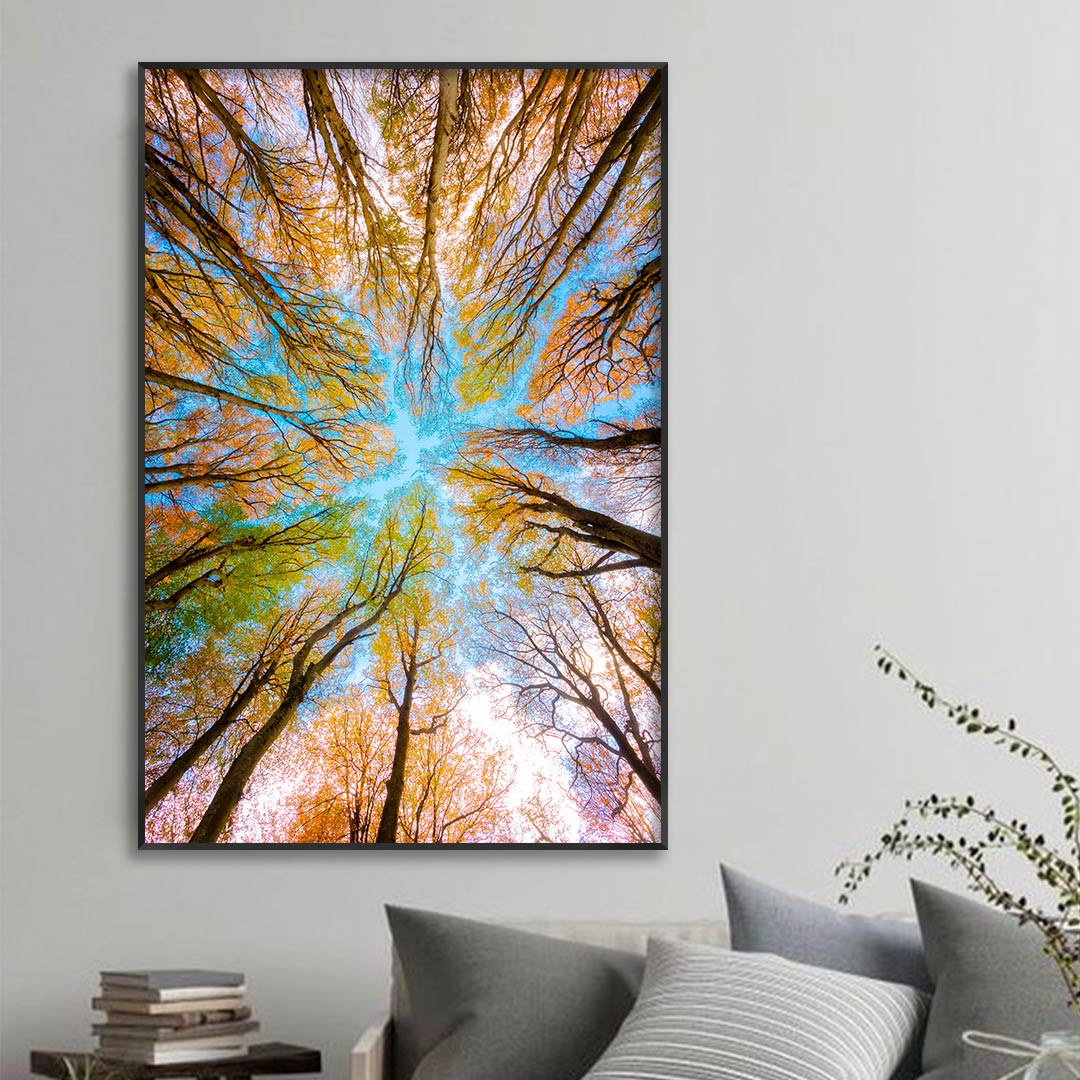 Quadro com Fotografia de Copa de Árvore