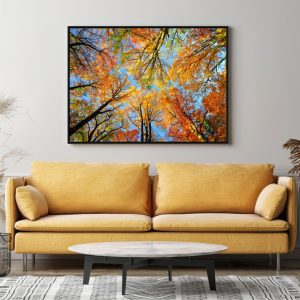 Quadro com Fotografia Copa de Árvore
