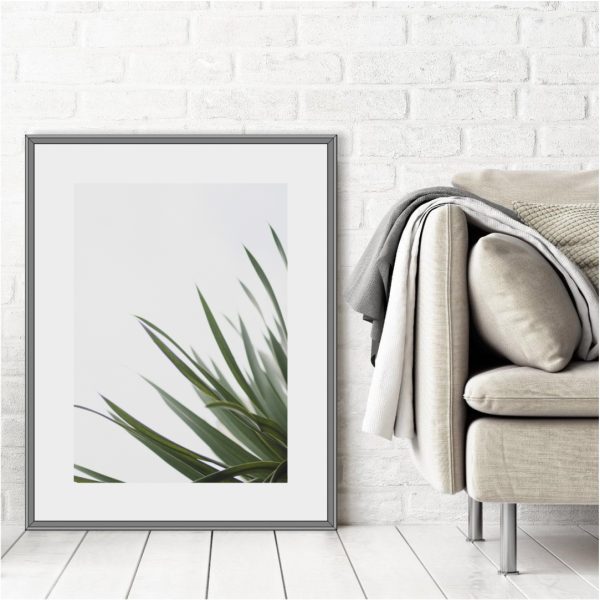 Quadro com Folhagem e Borda Branca