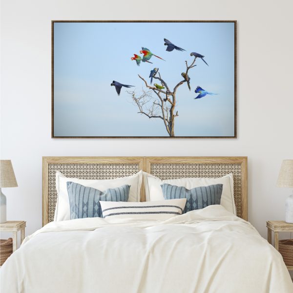 Quadro com Fotografia de Araras em Árvore
