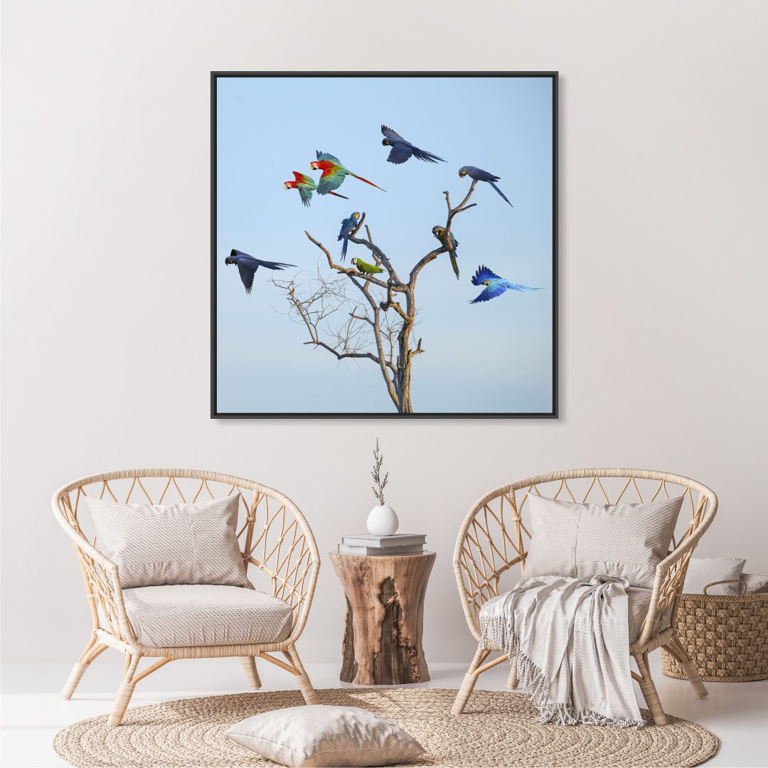 Quadro com Fotografia de Araras em Árvore