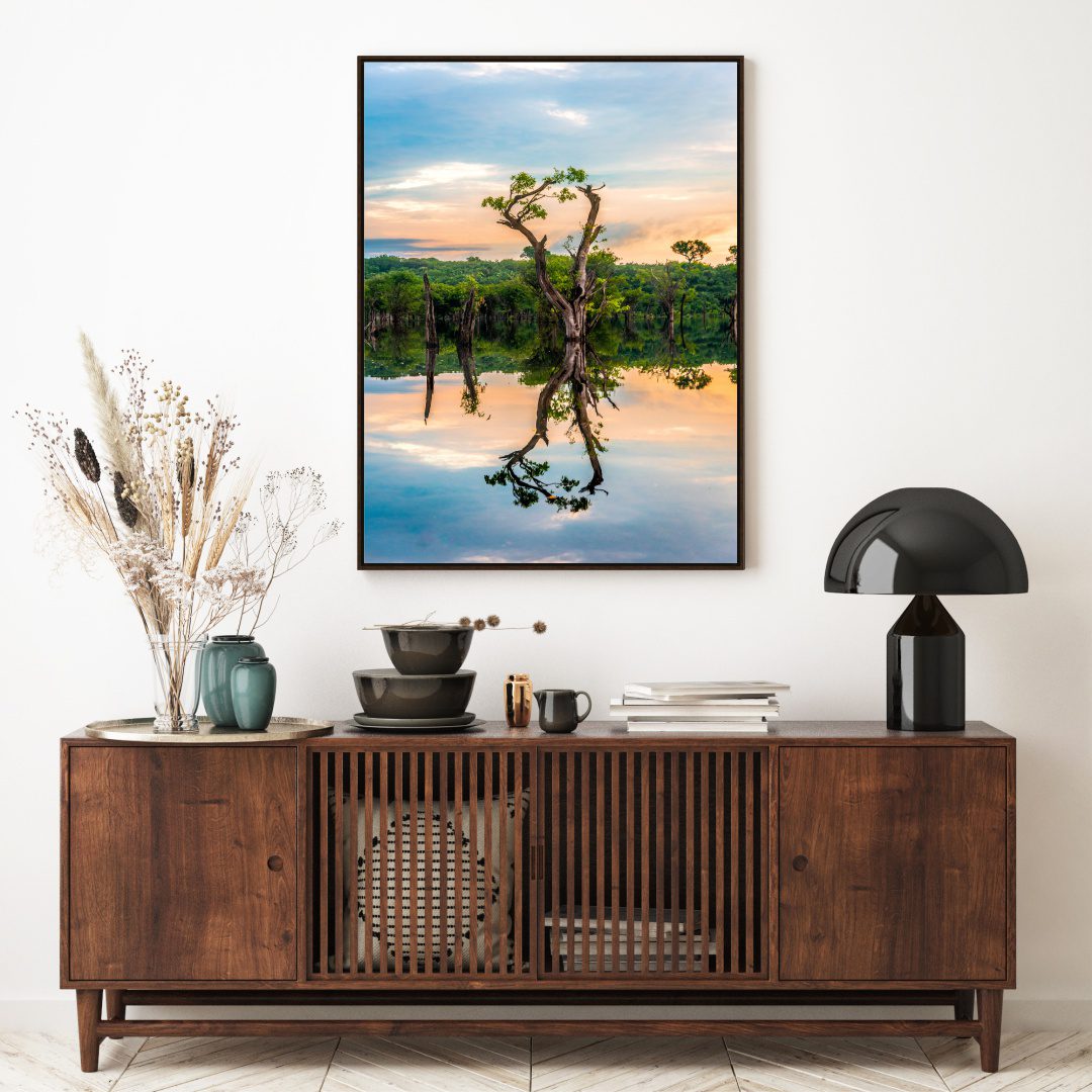 Quadro com Fotografia de Floresta e Rio