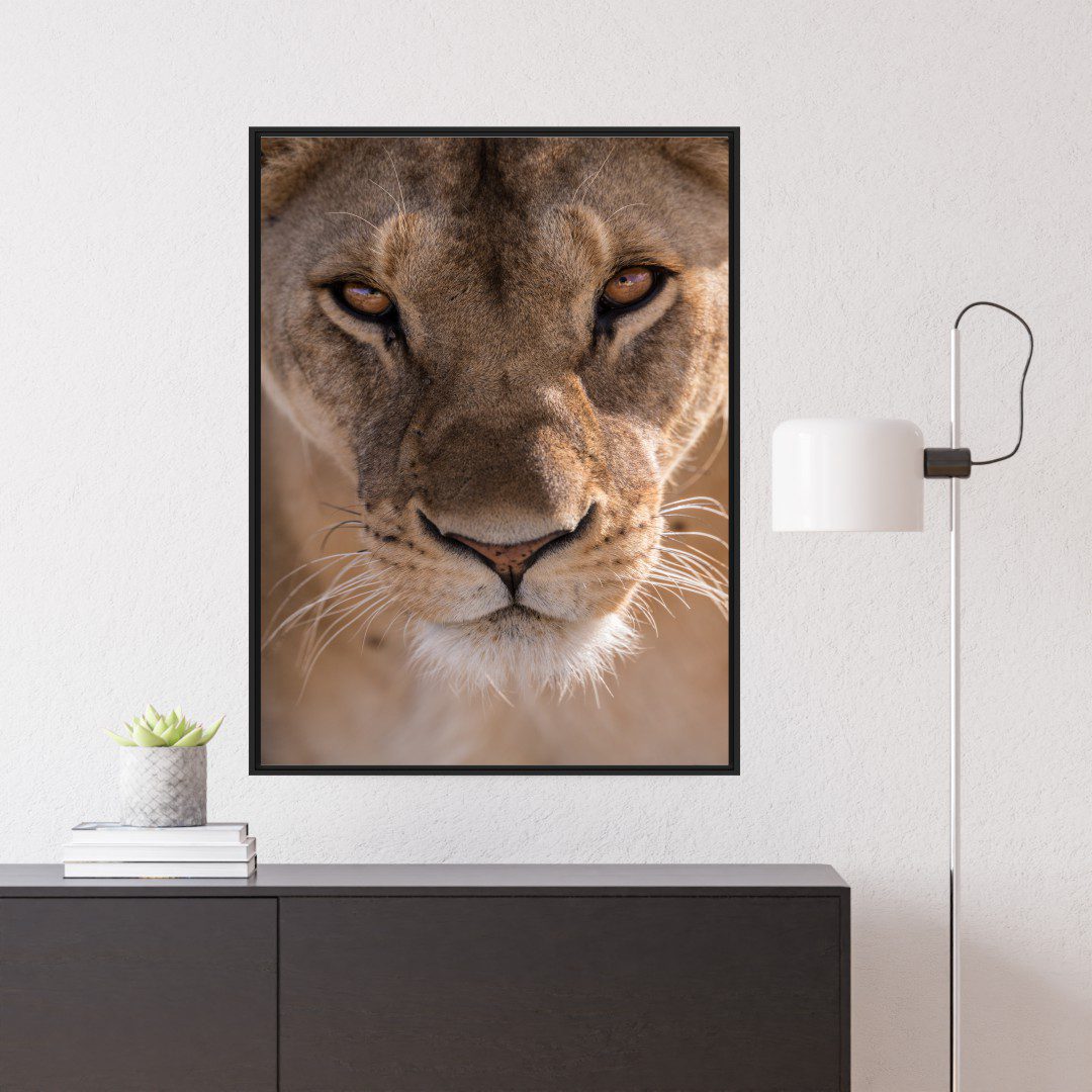 Quadro com Fotografia de Leoa