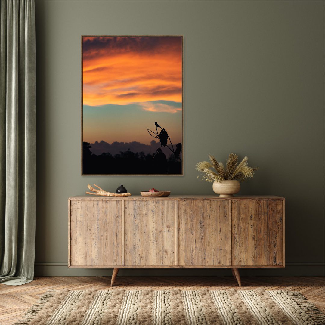 Quadro com Fotografia de Pôr do Sol na Floresta