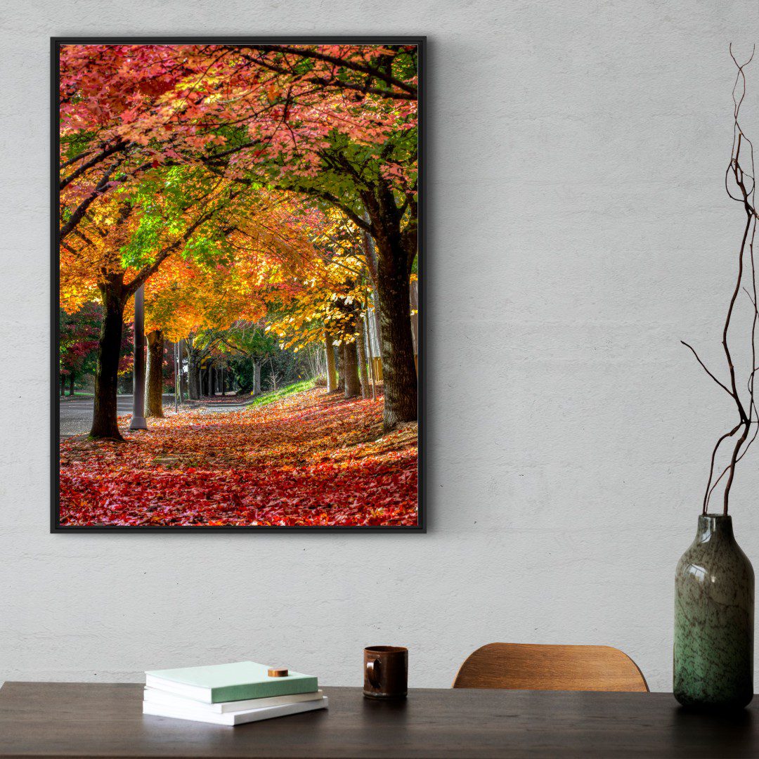 Quadro com Fotografia de Paisagem de Outono