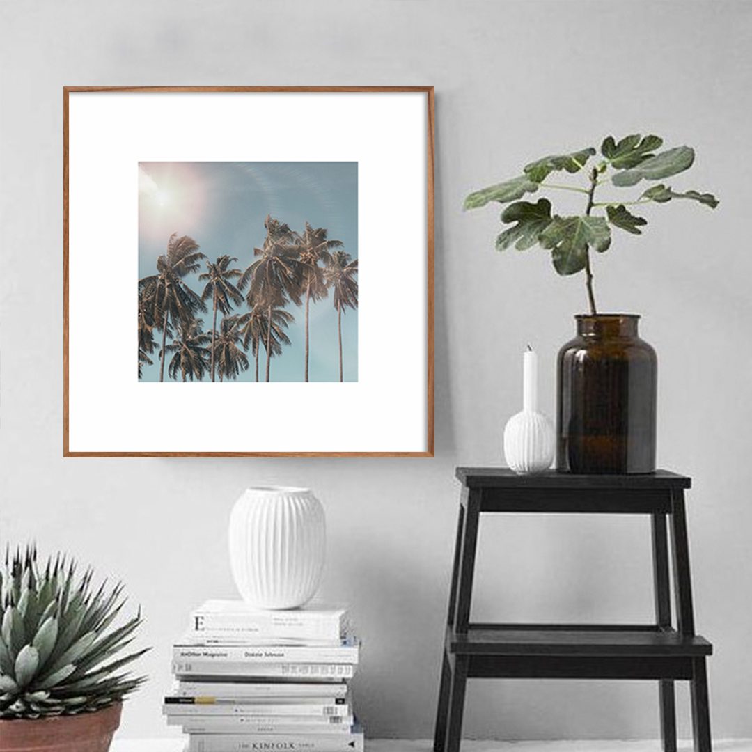 Quadro Fotografia de Palmeiras com Borda Branca