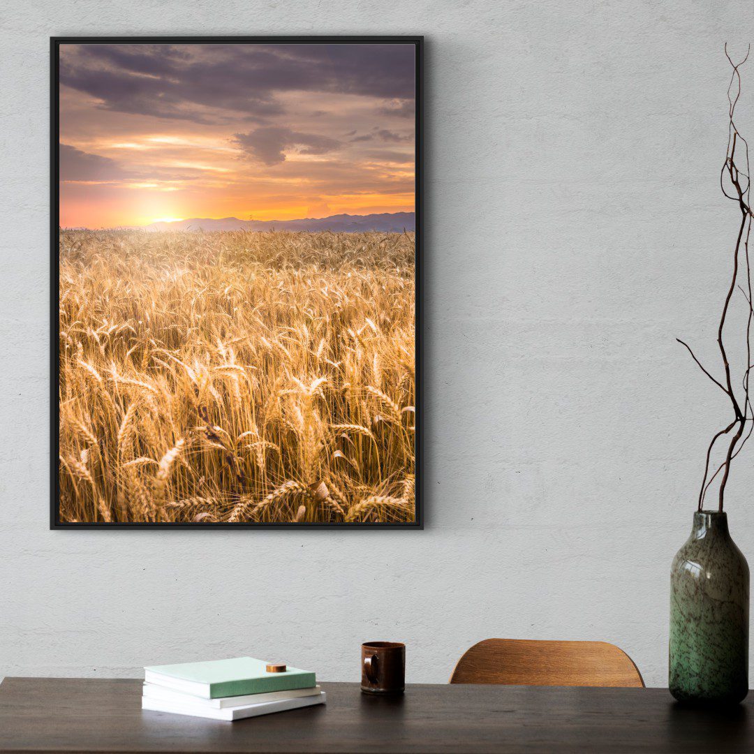 Quadro com Fotografia de Pôr do Sol