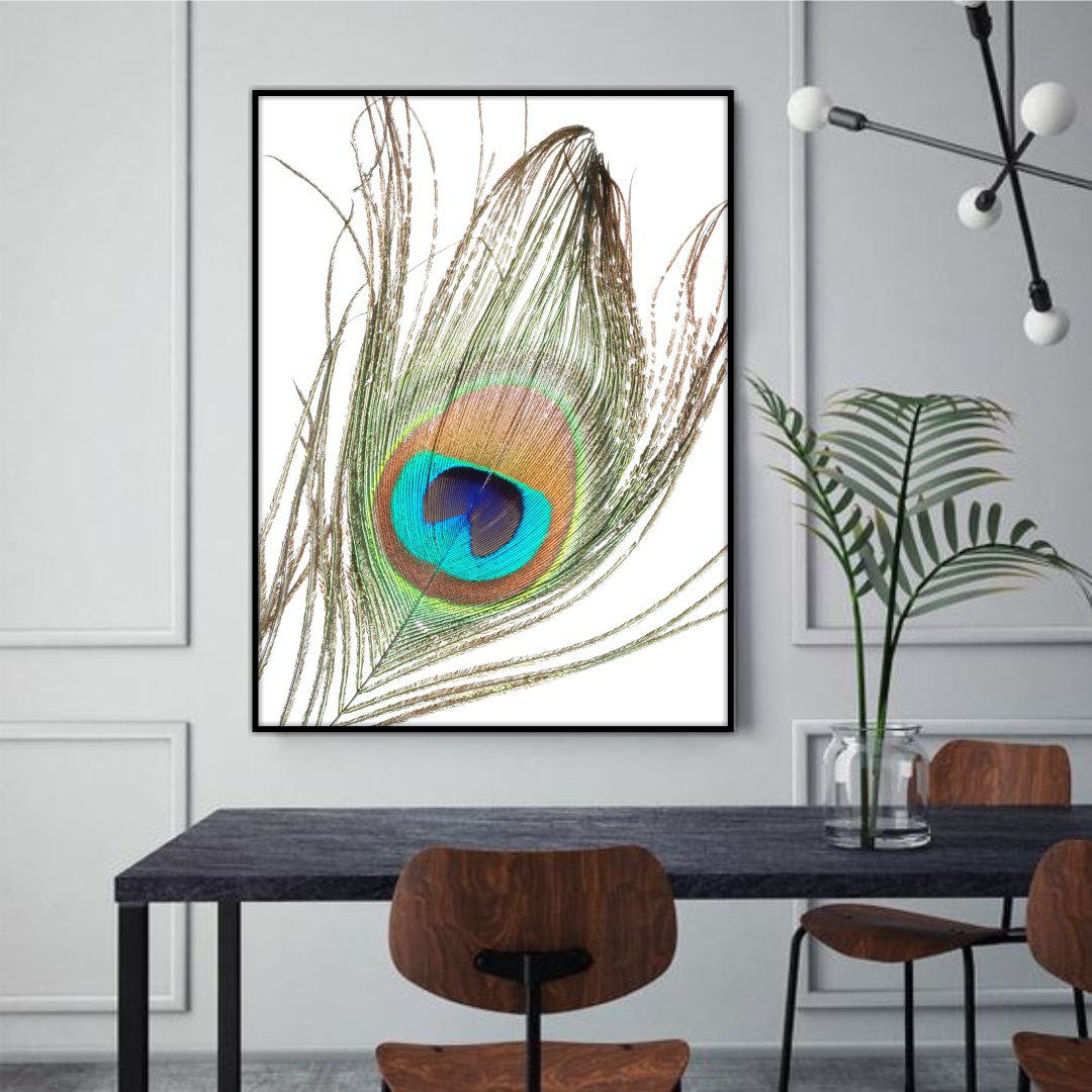 Quadro com Pena de Pavão e Fundo Branco