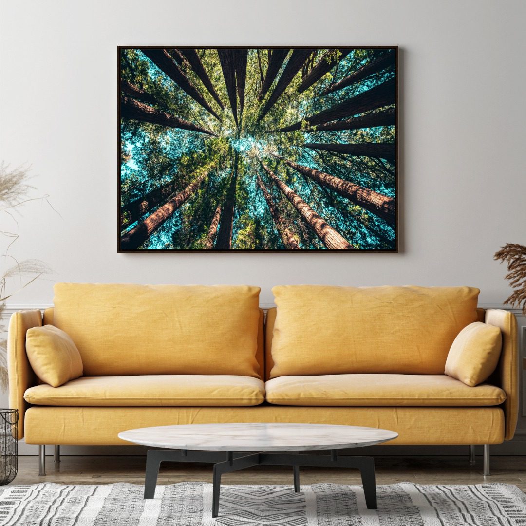 Quadro com Fotografia de Copa de Árvore