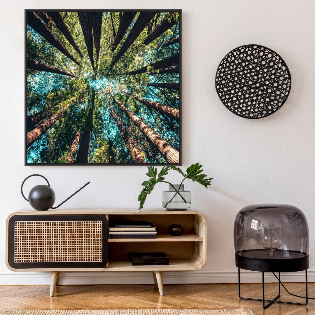 Quadro com Fotografia de Copa de Árvore