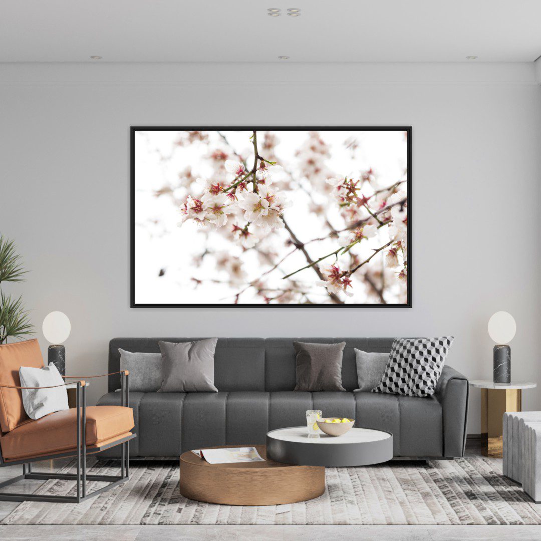 Quadro com Fotografia de Amendoeira Florida