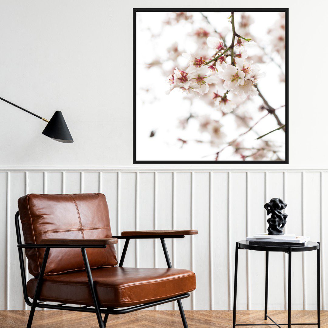 Quadro com Fotografia de Amendoeira Florida