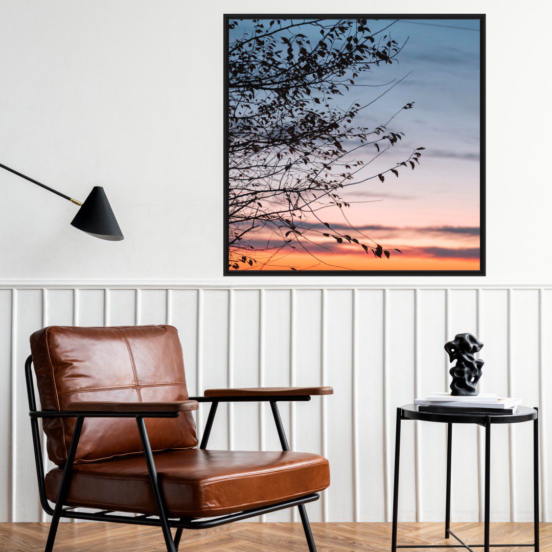 Quadro com Fotografia de Pôr do Sol e Árvore