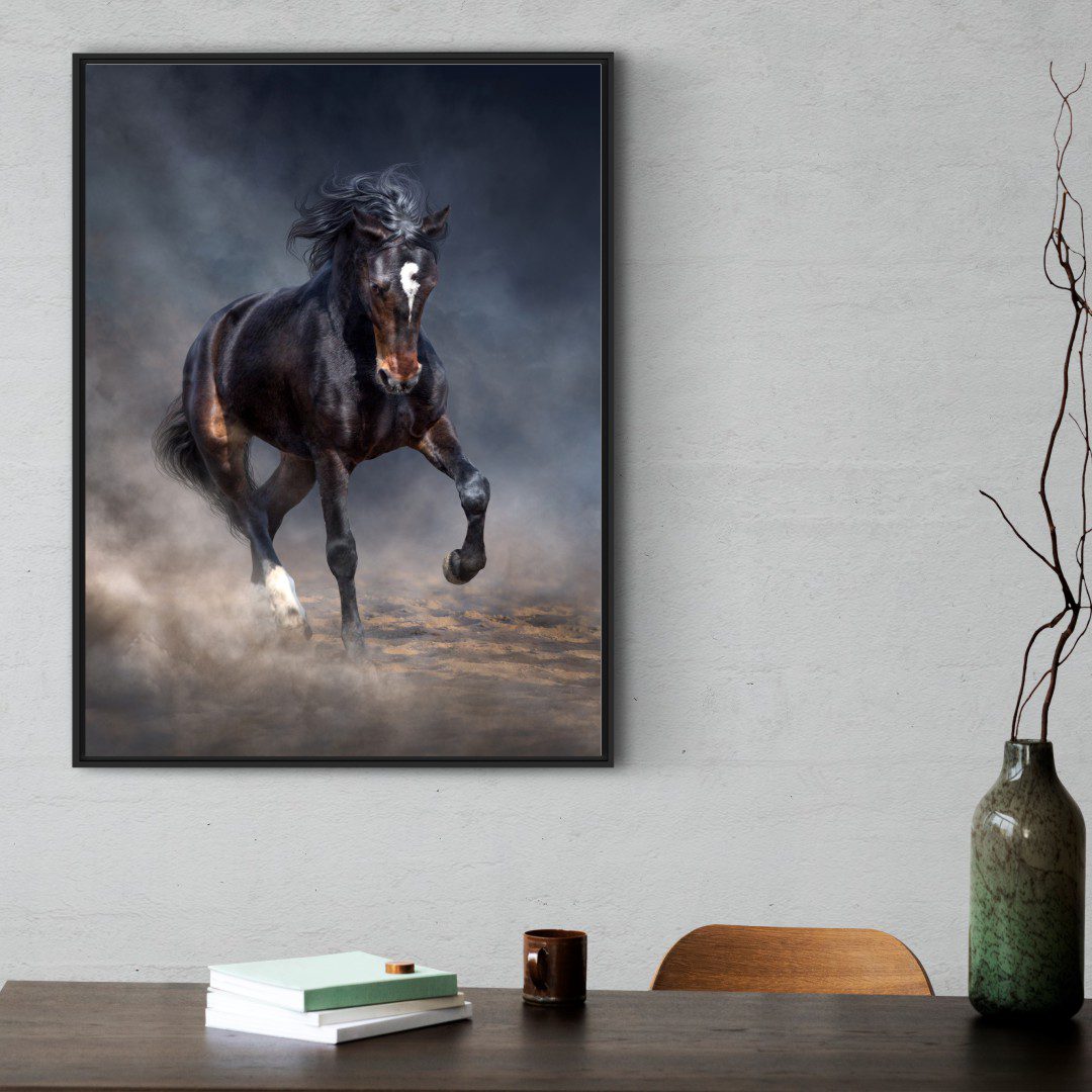 Quadro com Fotografia de Cavalo