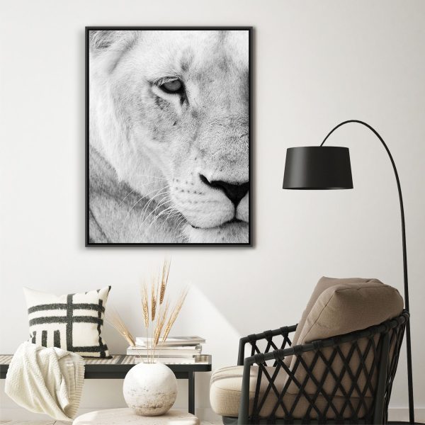 Quadro Decorativo Leão