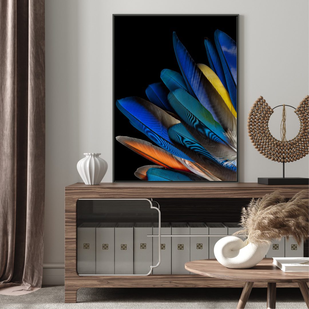 Quadro Decorativo Penas de Pássaros