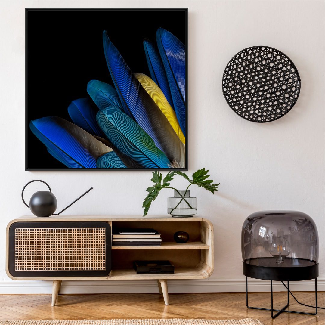 Quadro Decorativo Penas de Pássaros