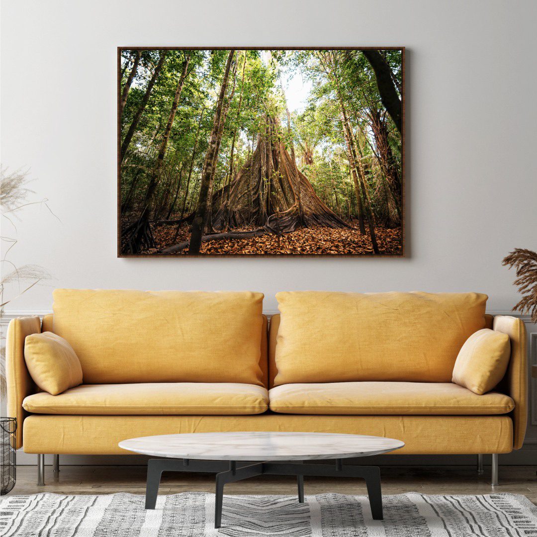 Quadro Decorativo Tronco Árvore Sumaúma