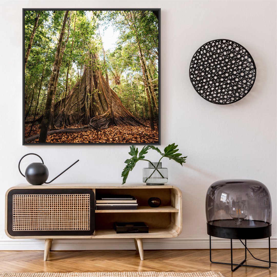 Quadro Decorativo Tronco Árvore Sumaúma