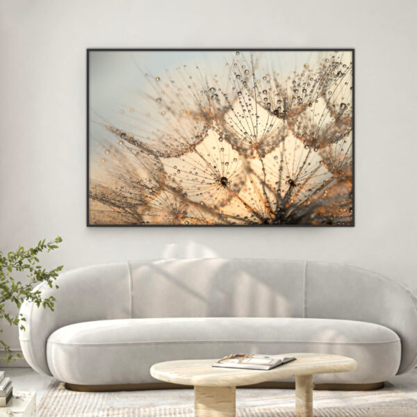 Quadro com Flor Dente de Leão e Gotas D'Água
